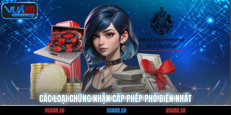 Các loại chứng nhận cấp phép phổ biến nhất