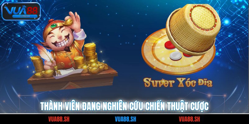 Thành viên đang nghiên cứu chiến thuật cược