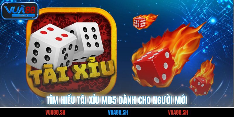 Tìm hiểu tài xỉu MD5 dành cho người mới