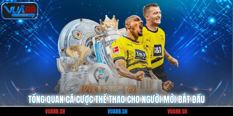 Tổng quan cá cược thể thao cho người mới bắt đầu