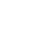 icon VUA88